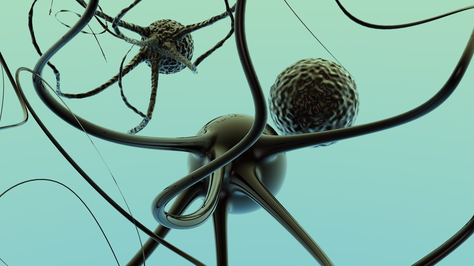 Goals of Brain Retraining