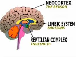 What Is Brain Retraining and How It Can Help Your Journey