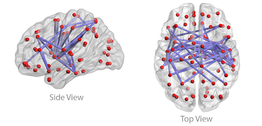 Cross wiring in the brain