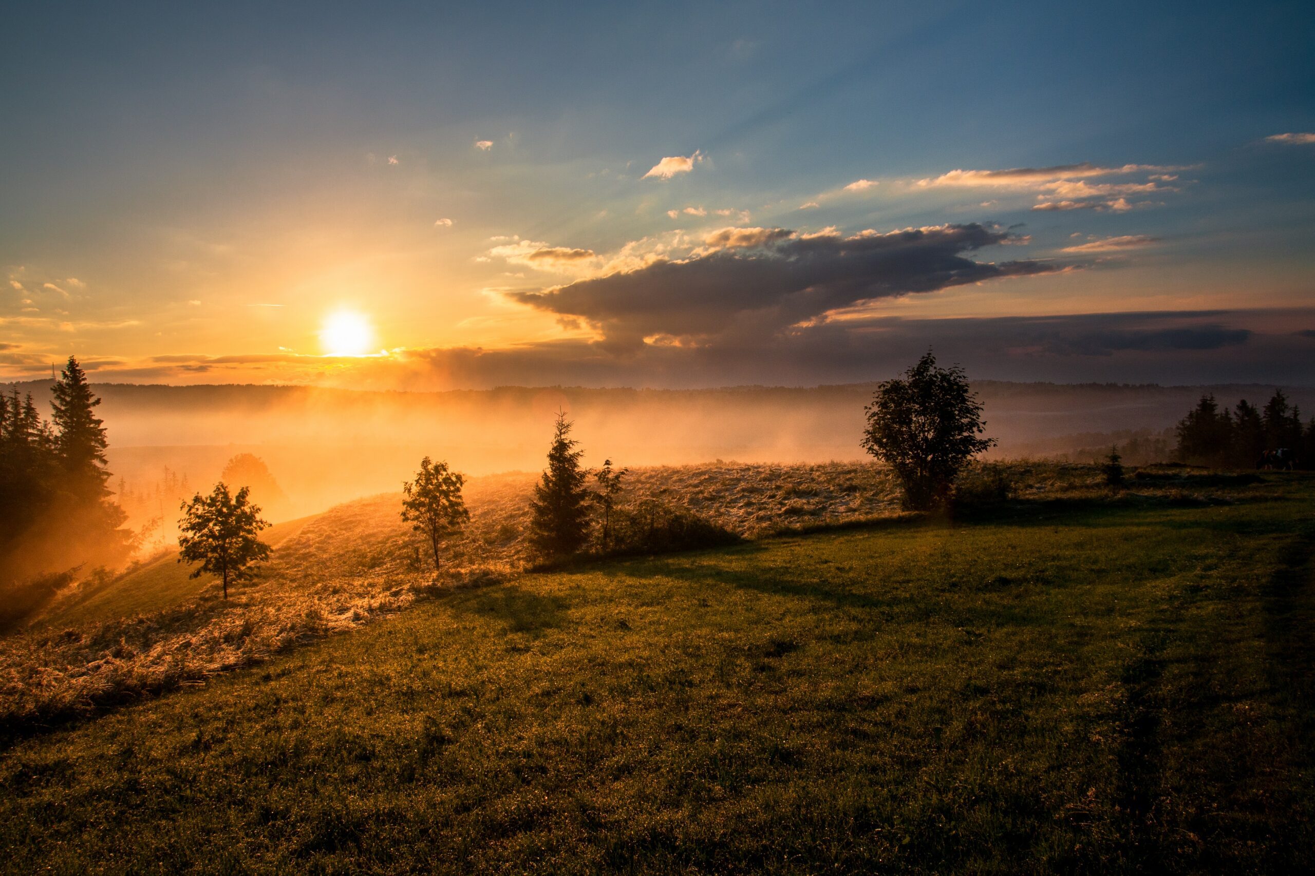 The Importance of Ritual and Breaking the Habit of Chaos