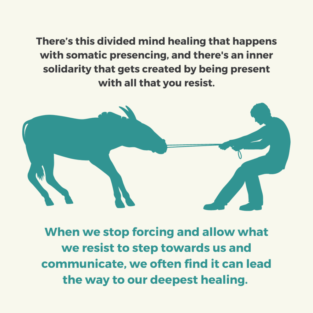 Training your prefrontal cortex to be more engaged through brain retraining and basic vagal nerve toning is the best first step in the self healing process. 4