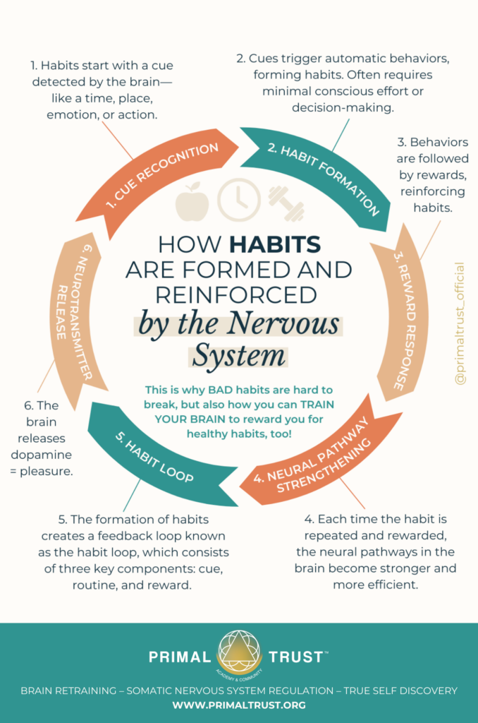 Infographics 2