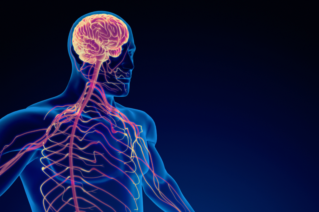 Retrain the brain and regulate the nervous system to restore holistic health balance.