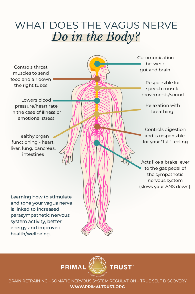 Infographics 7