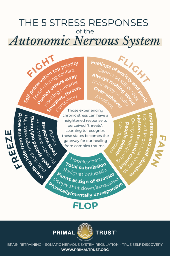 5StressResponses