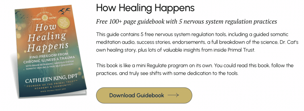 How Healing Happens Free Guide to Somatics, Brain Retraining and more