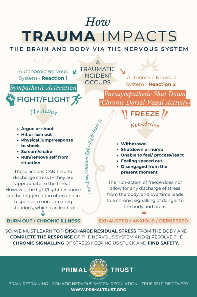 How trauma impacts the brain infographic