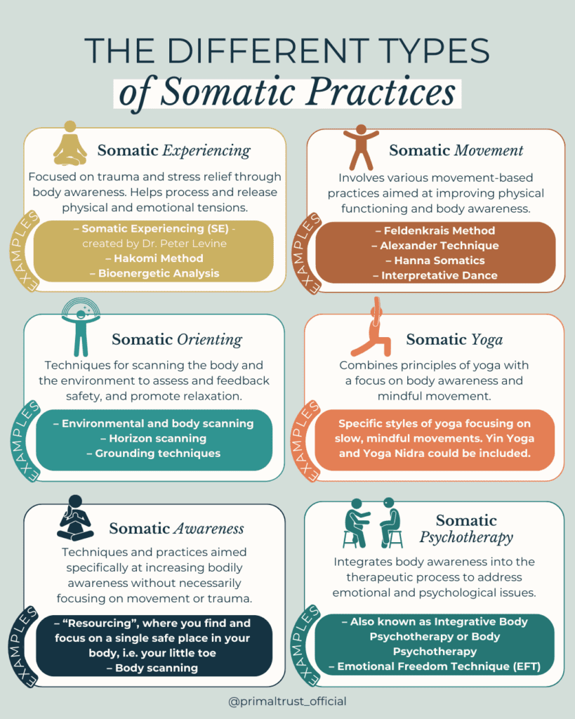 Differnt Types of Somatic Practices