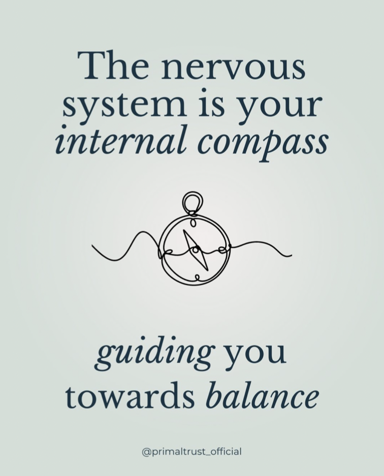A quote from the Primal Trust™ Instagram page that reads: "The nervous system is your internal compass guiding you towards balance."