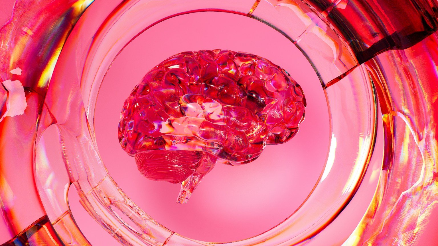 Brain Detox 101