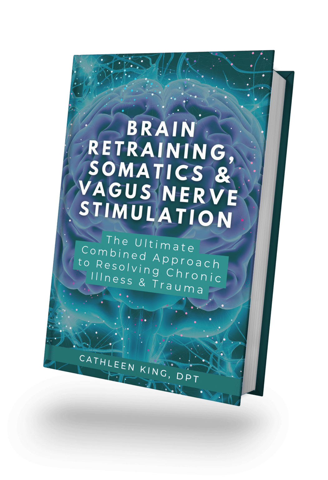 Dynamic Neural Retraining System.pdf Free Resources For Nervous System Regulation | Primal Trust