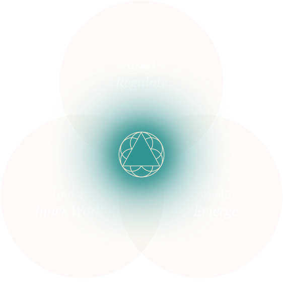 primaltrustjourney