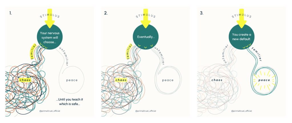 Your nervous system will choose a familiar chaos over unfamiliar peace Infographic to show the steps of the nervous system choosing a familiar chaos over unfamiliar peace, until you teach it which is safe. Eventually, the unfamiliar peace becomes more familiar, the more you choose it, until you create a new default.