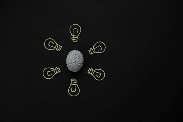10 Key Neuroplasticity Principles for Brain Health
