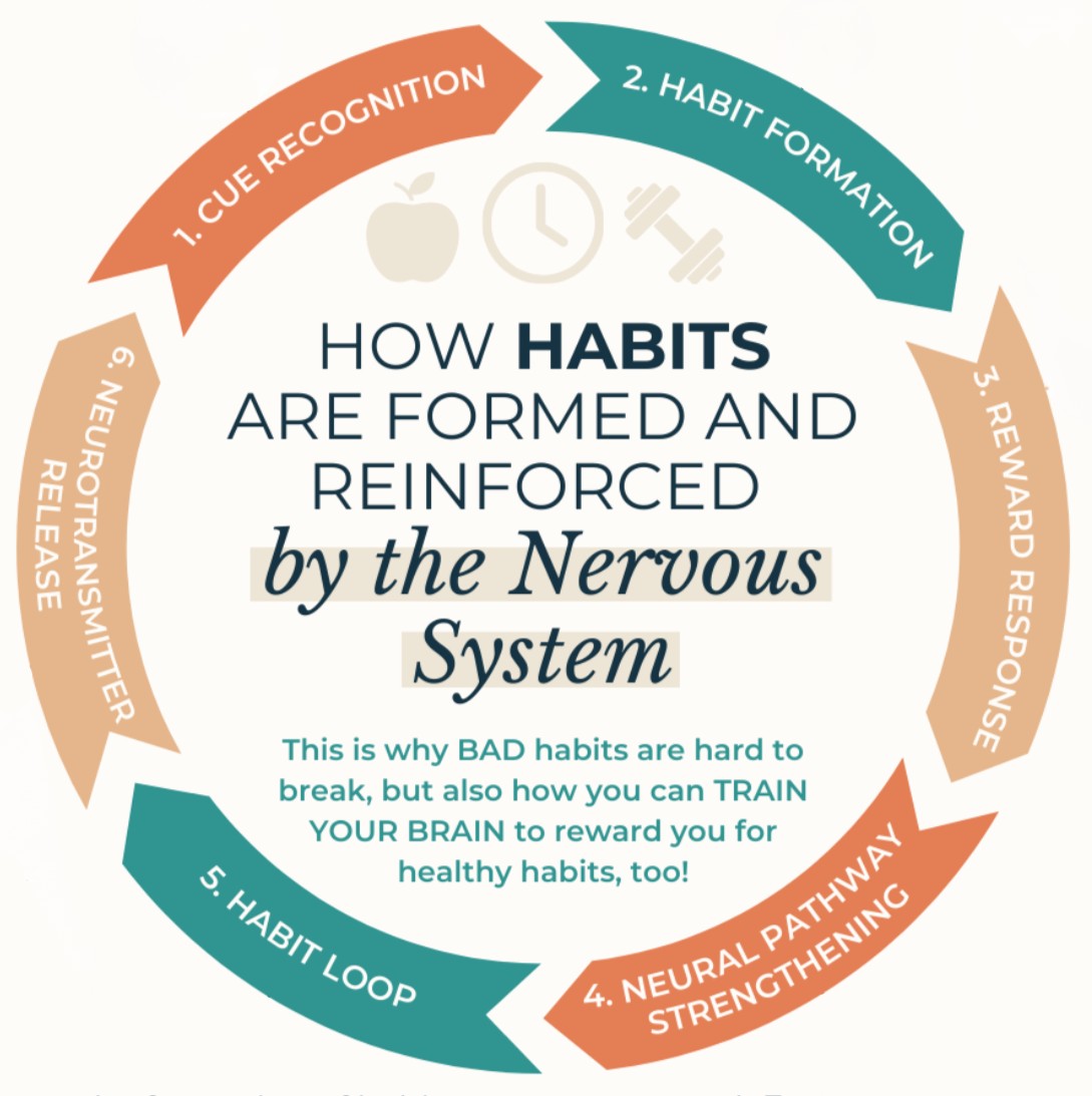 Infographics 17 Edited