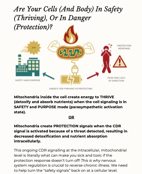 Are Your Cells In Danger