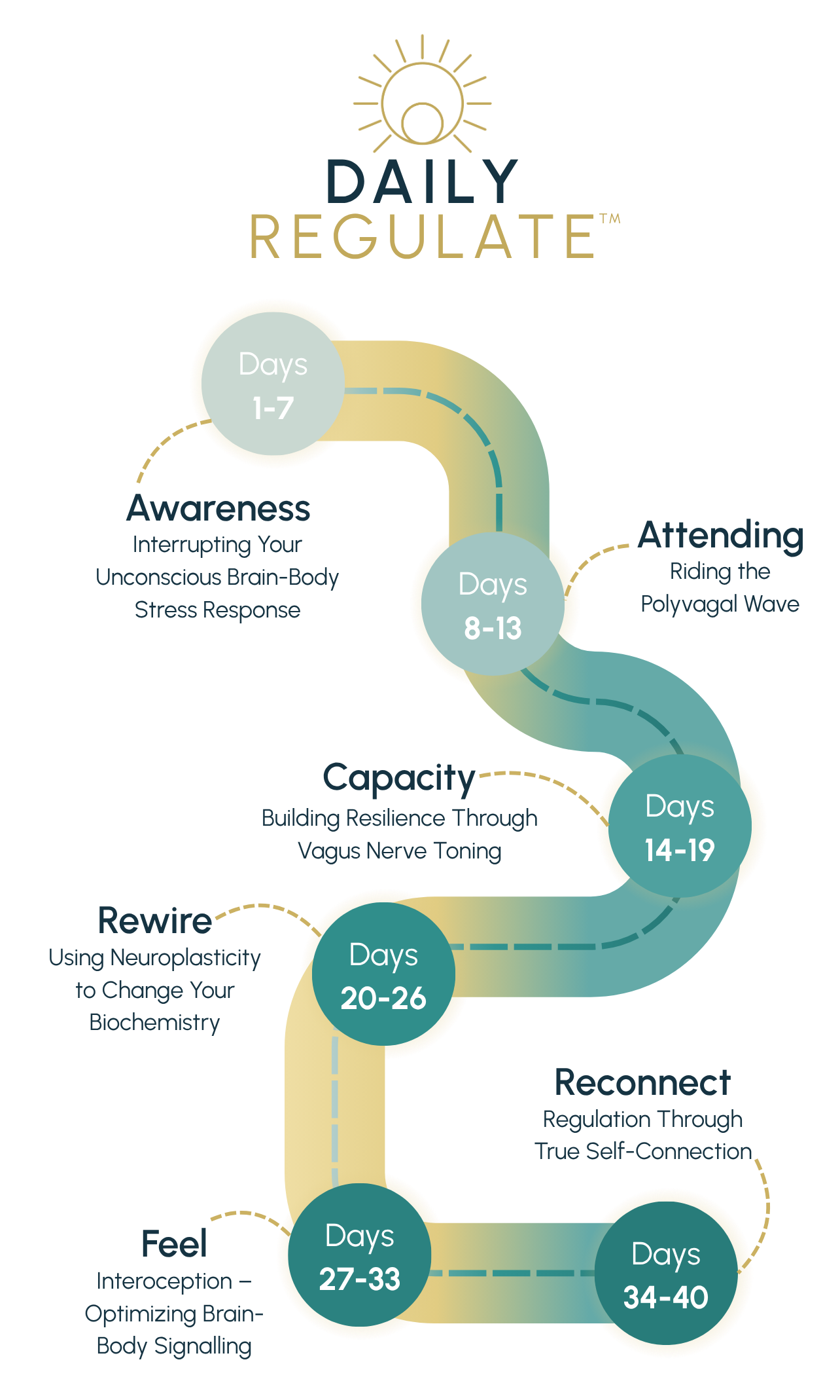 Daily Regulate Roadmap Vertical