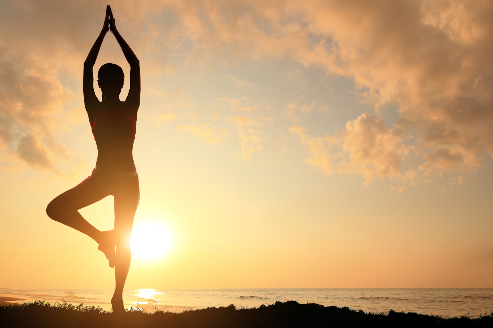 Polyvagal therapy may be a great tool for people who have endured trauma or suffer from chronic stress, Discover what the therapy is and how it works.