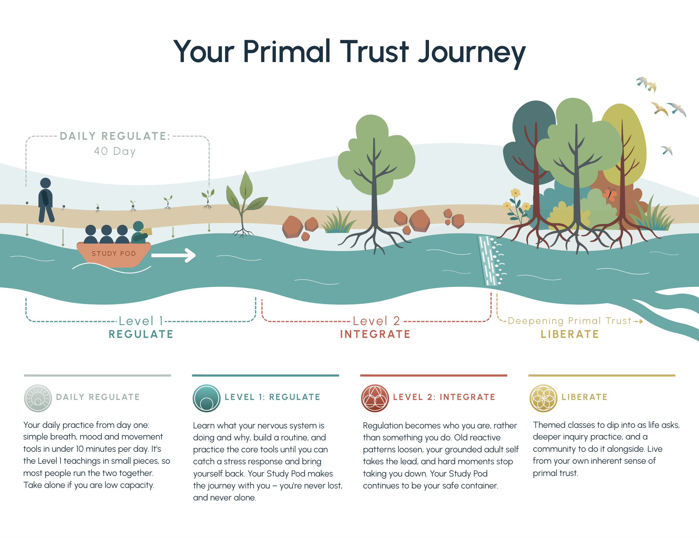 Illustrated river journey through Daily Regulate, Regulate, Integrate and Liberate.